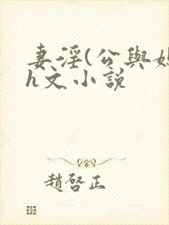 妻淫(公与媳7h文小说