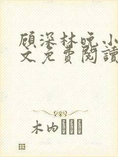 顾深林晚小说全文免费阅读封面