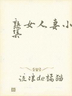 熟女人妻小说合集封面