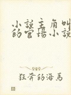 小说主角叫李威的官场小说