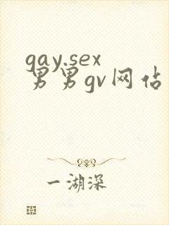 gay.sex男男gv网站