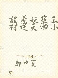 误惹妖孽王爷废材逆天四小姐 苏小暖