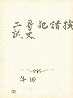 二哥犯错挨打训诫文封面