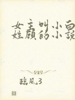 女主叫小白男主姓顾的小说