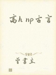 高h np古言