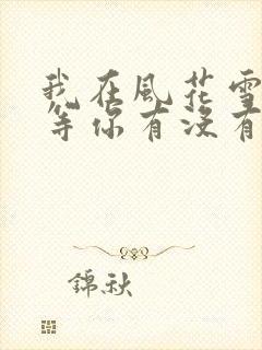 我在风花雪月里等你有没有续集