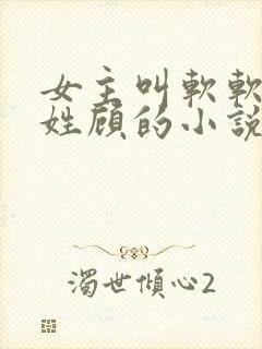 女主叫软软男主姓顾的小说