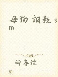 母狗 调教 sm封面