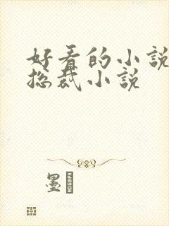 好看的小说推荐总裁小说封面