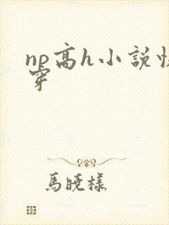 np高h小说快穿