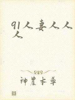 91人妻人人爽人