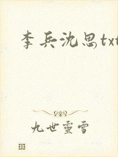 李兵沈思txt封面