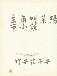 主角叫叶阳的都市小说