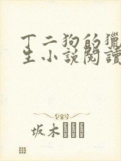 丁二狗的猎艳人生小说阅读