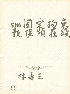 sm固定拘束调教视频在线观看