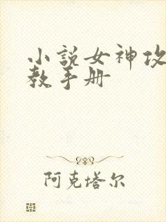 小说女神攻略调教手册