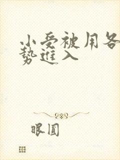 小受被用各种姿势进入