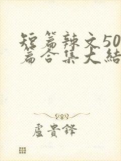 短篇辣文500篇合集大结局小说封面