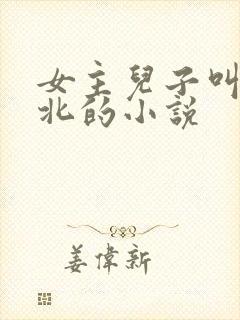 女主儿子叫顾小北的小说