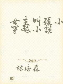 女主叫张小婉的穿越小说