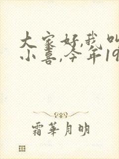 大家好,我叫林小喜,今年19岁小说