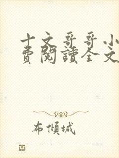 十文哥哥小说免费阅读全文