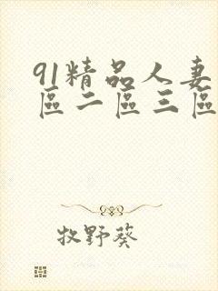91精品人妻一区二区三区′