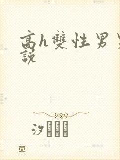 高h双性男男小说