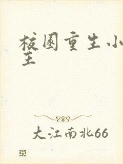 校园重生小说女主