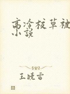 高冷校草被囚禁小说