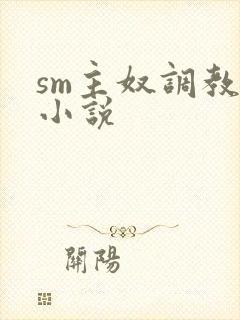 sm主奴调教文小说封面