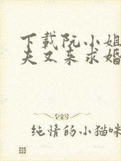 下载阮小姐的前夫又来求婚了电子书完整封面