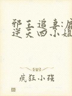 邪王追妻:废材逆天四小姐