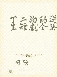 丁二狗的逆袭人生短剧全集