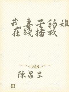 我妻子的姐姐2在线播放封面