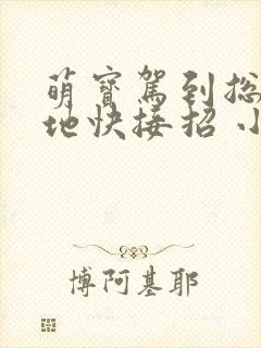 萌宝驾到总裁爹地快接招 小说