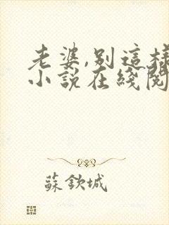 老婆,别这样 小说在线阅读