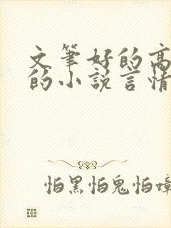 文笔好的高质量的小说言情已完结