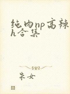 纯肉np高辣文h合集