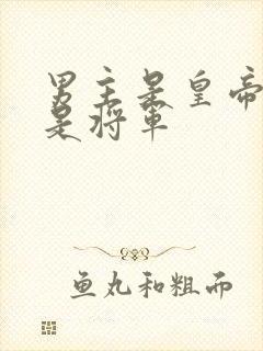 男主是皇帝女主是将军