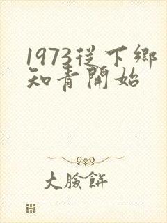 1973从下乡知青开始