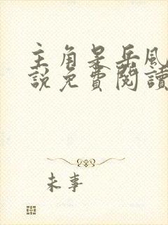 主角是岳风的小说免费阅读最新章节