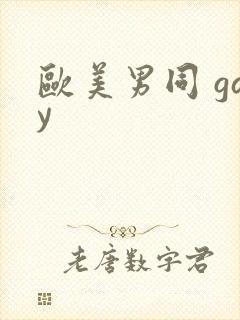 欧美男同 gay