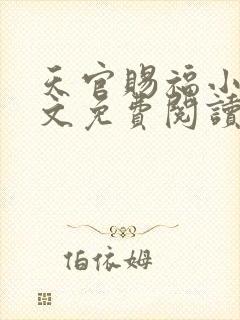 天官赐福小说全文免费阅读笔趣阁封面