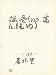 总受(np,高h,纯肉)