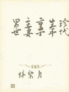 男主重生珍惜前世妻子年代文