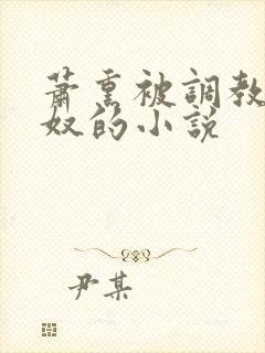 萧熏被调教成肉奴的小说