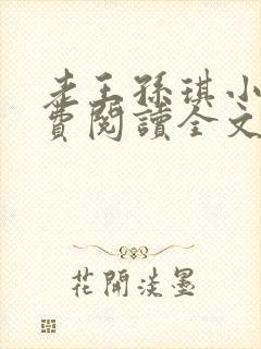 老王孙琪小说免费阅读全文最新章节封面