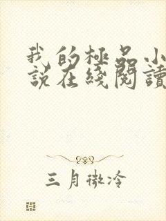 我的极品小姨小说在线阅读