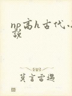 np高h古代小说